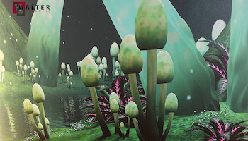 Bild 36