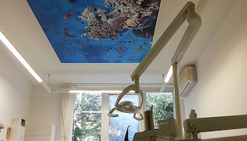 Bild 22